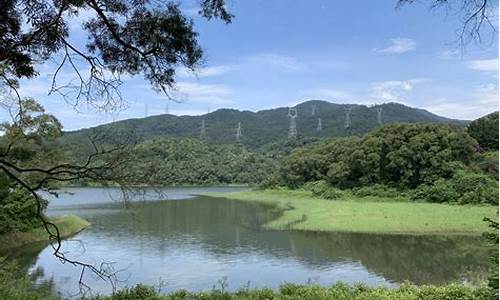 厦门天竺山森林公园在哪里_厦门天竺山森林公园在哪里?