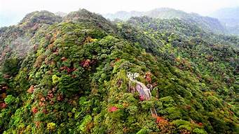 南岭森林公园住宿_南岭森林公园住宿预订