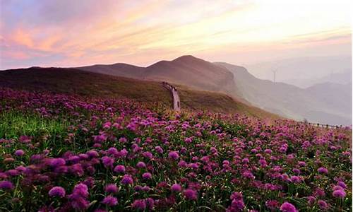 贵州韭菜坪旅游攻略_贵州韭菜坪旅游攻略及线路