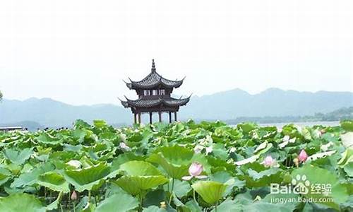 上海到杭州一日游景点_上海到杭州一日游景点推荐