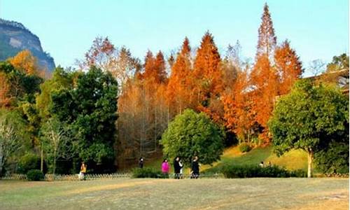 武夷山冬季旅游攻略_武夷山冬季旅游攻略一日游