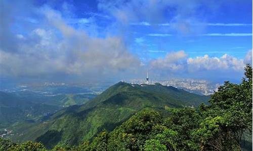 梧桐山旅游攻略推介_梧桐山旅游攻略推介语